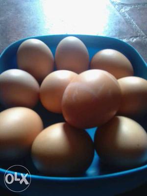 Nattukoli egg 10 egg 150rs only