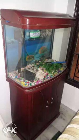 New fish aquarium in cheap price