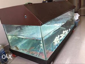New fish tank size2.5Lx1.5w x 1.5h