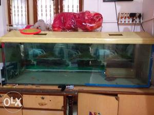 Rectangular Beige Frame fish tank