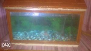 Rectangular Brown Frame Fish Tank