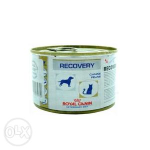 Royal Canin Recovery can 195gms Online
