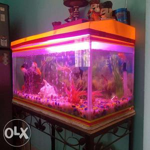 Sale of Fish Aquarium with all fittings