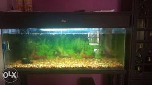 Tank in Excellent Condition * Length-4ft.,