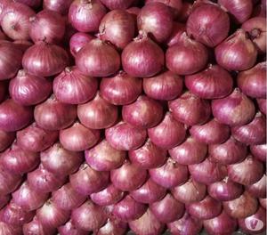 Fresh onion peeled and chopped Ernakulam