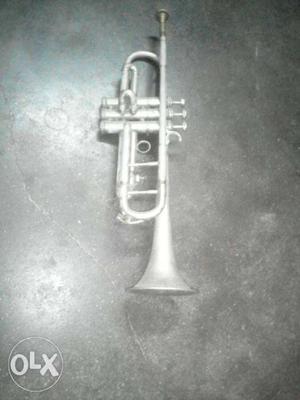 Gray Trumpet