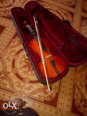 New violin used ly few weeks