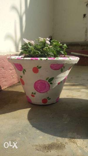 Painted pots for your home with plant.