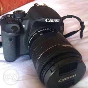 CAMERA for rent. Canon 700D and tele lens.