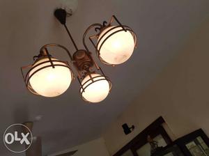 Black And White 3-bulb Downlight Chandelier