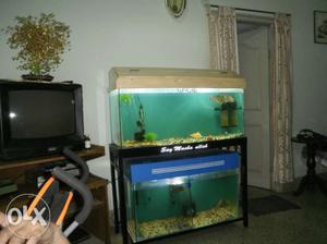 One Aquarium one Stand 3.5 inch lenth 1.25inc