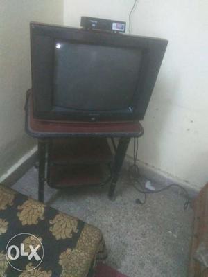 TV set up and stand