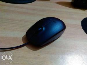 One month old dell mouse for sale