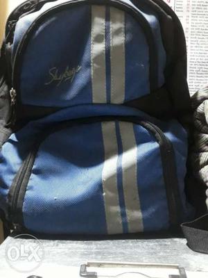 Skybags bagpacks