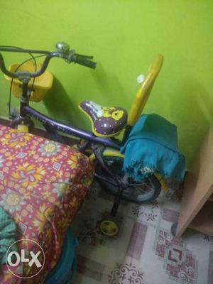 Toddler's Purple And Brown Bike