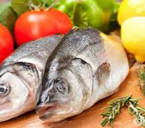 sea foods Chennai