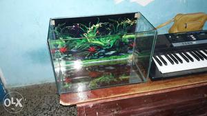 1.5 ft fish tanks in just 400 rs and all size New