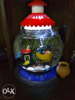10 inch fish bowl with decoration, lighting and