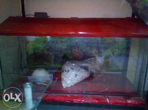3 foot fish tank with white stone