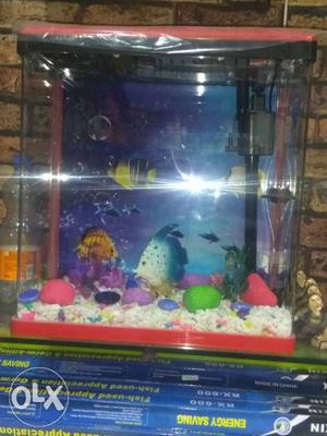 All type of fish aquarium.coloured fish