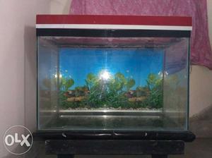 Aquarium 27" X 18" X 15" with Air pump, Filter and