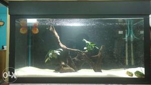 Aquarium Fish Tank 2.5 feet length complete set