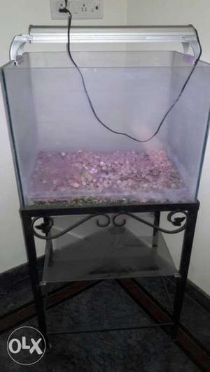 Aquarium size- 2feet*2feet Along with lights and