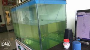 Aquarium size  with steel stand and roof