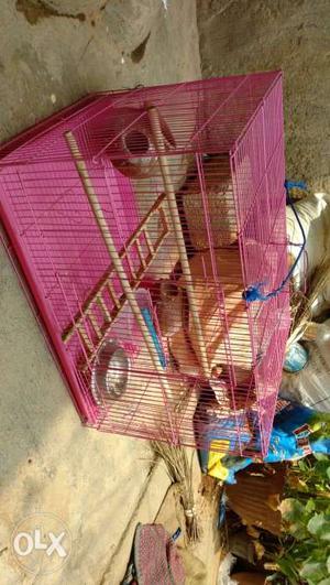 Big size Cage for sale  rs and wooden stick and Bowl