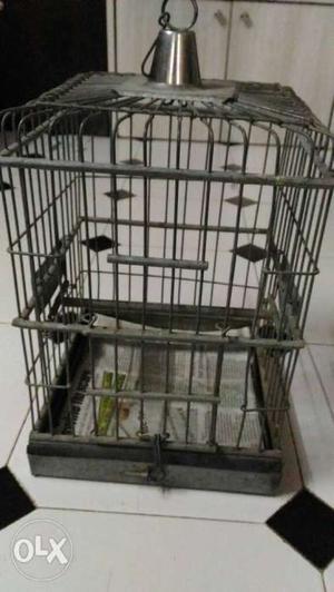 Bird cage fixed price neat clean urgent sell