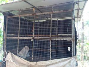 Black And Gray Metal Cage