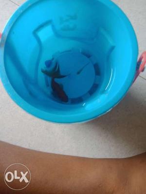 Blue Plastic Container With Lid