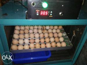 Egg incubator in kerala india