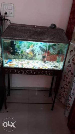 Fish aquarium 2.5 feet in very good condition