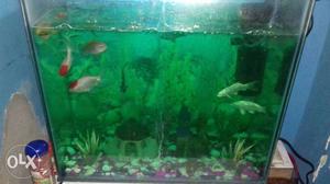 Fish aquarium only one month old bran new condition. Fixed