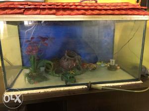 Fish tank 2.5 by 1 feet with all props (stones, plastic