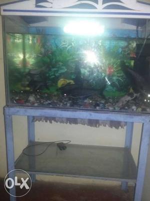 Gray Metal Framed Fish Tank