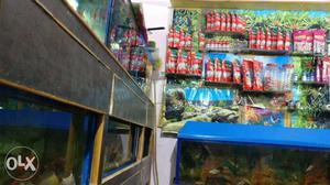 Home fish aquarium.. services and all fish and