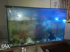 I want to sell this aquarium without