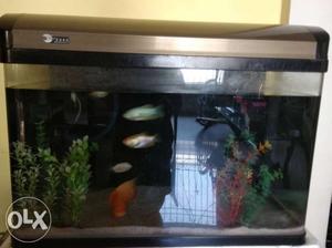 Imported moulded fish tank. size.2 & half by 1& half feet