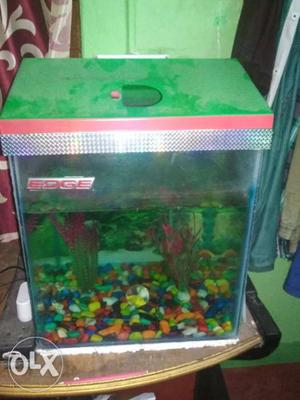 New Aquarium only 600 rs All Decoration is