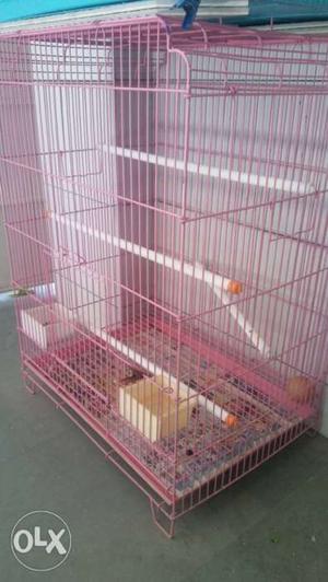 New bird cage sell