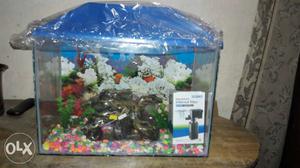 New complite fish aquarium with all accesseires