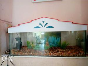 New fish tank only one month used stones,water