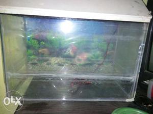 Nice condition Fish Tank for sale with oxygen
