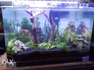 Planted tank done here in low cost if u need plz