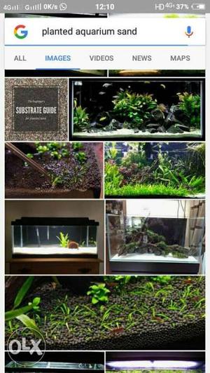 Rectangular Black Framed Fish Tank Screenshot Collage
