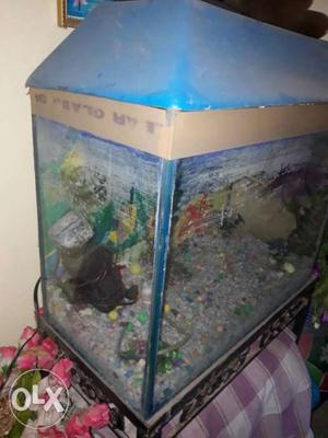Rectangular Fish Tank With Blue Frame