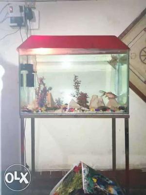 Rectangular Fish Tank With Red Strip