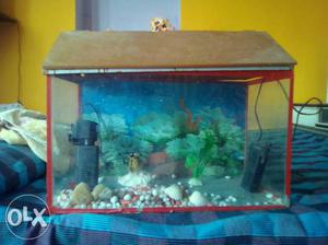 Rectangular Red-frame Fish Tank